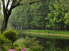 -上海共青森林公园