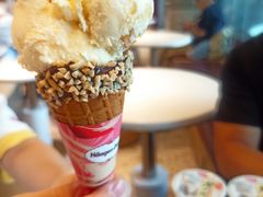 -哈根达斯(天河城店)