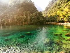 景点-太湖源风景区