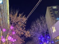 -中粮·祥云小镇