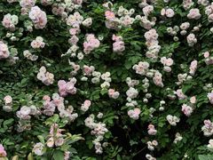 -迎晖路(地铁站)