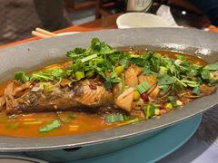 -松沪名灶·新上海菜(飞航吾悦广场店)