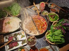 -大龙燚·旷野鲜火锅(广州首店)