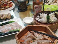 -金龙寨(龙城路店)