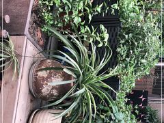 -艾加柒克蛋糕茶歇甜品台(春熙路店)