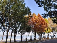 -溱湖国家湿地公园