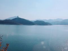 -望湖烤鱼