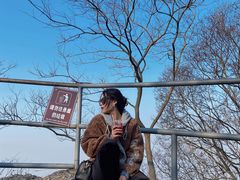 -紫金山山顶公园