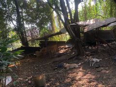 -园林美食城·本土农家菜(杨和镇店)