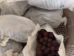 -马陆小张葡萄园农家乐