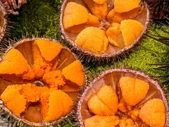 -常鲜楼常来尝鲜海胆馆(星海店)
