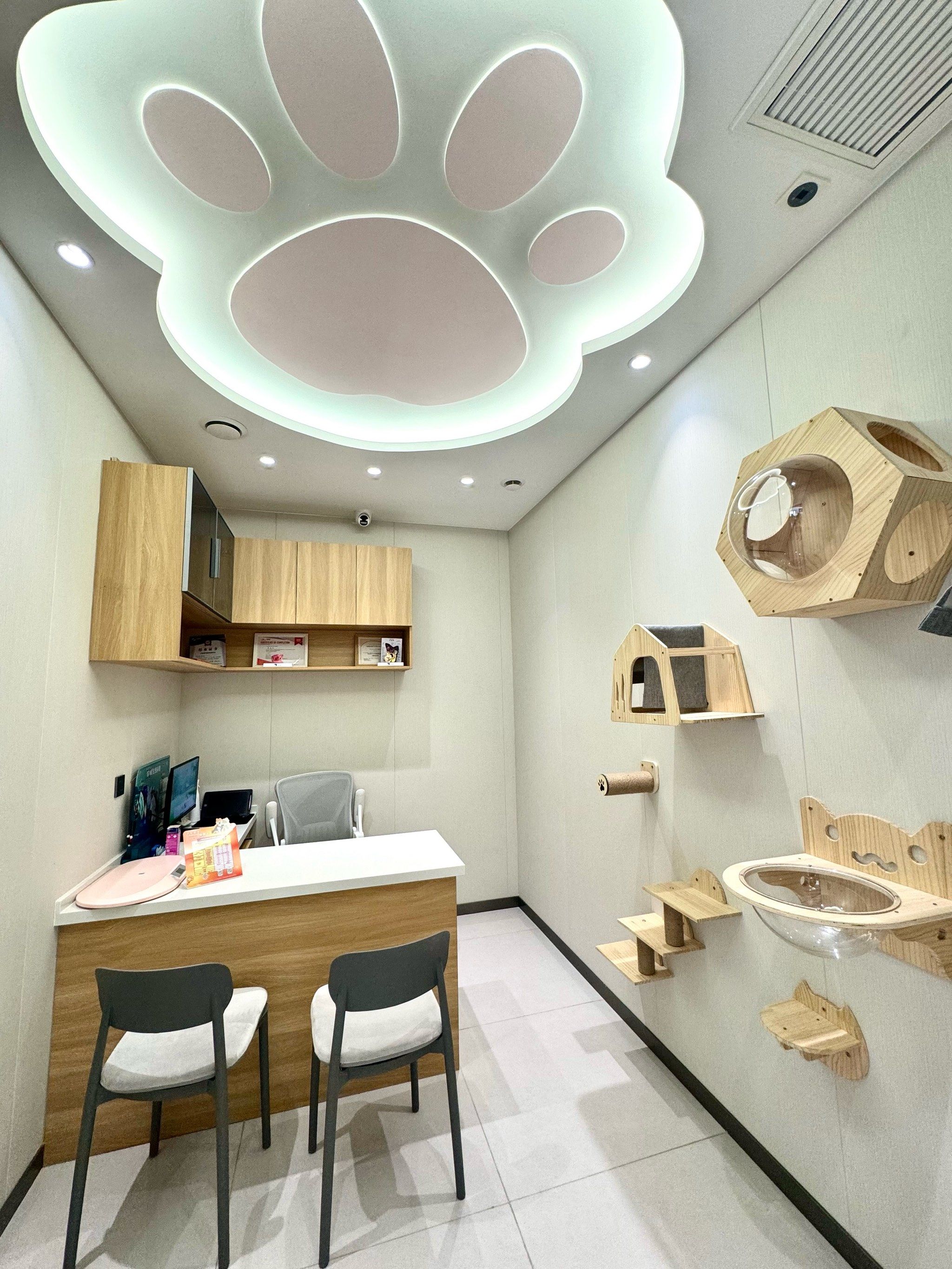 必须安利!哈尔滨这家宠物医院太绝了!