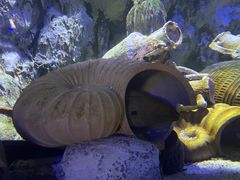-正佳极地海洋世界