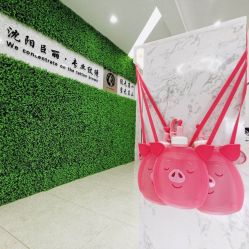 -臣丽纹眉品牌连锁
