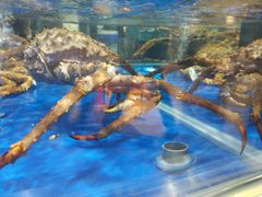 -盒马鲜生(莱蒙都会店)