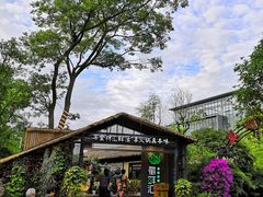 -二荆条·蜀鲜汇城市森林火锅