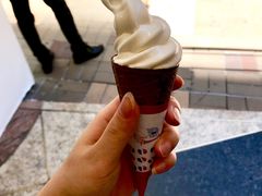 香草软雪糕-富豪雪糕车流动点(尖沙咀店)