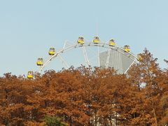 -霄汉羊排(万松园一店)