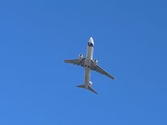 -空港花田景区