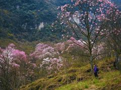 -九皇山景区