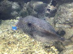 -福州罗源湾海洋世界旅游区