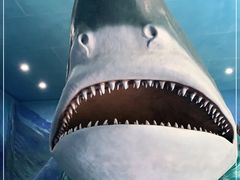 -多彩贵州城极地海洋世界