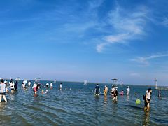 -碧海金沙