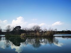 -九里河湿地公园
