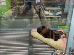 -FAELING PETS美天灵宠物(合生汇店)