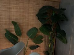 -施奈儿.洗头頭療.按摩SPA.采耳(上梅林店)