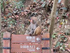 -黔灵山公园