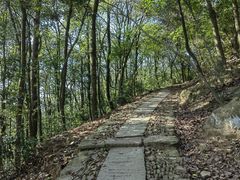 -西湖风景区十里琅珰-五云山