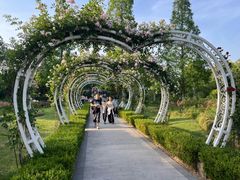 -昆山城市生态森林公园