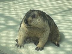 -大连森林动物园