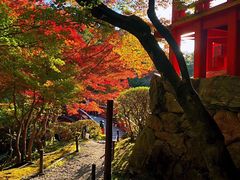 -醍醐寺