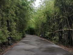 -西安汉城湖景区