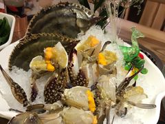 -尚海豆捞(乐虹坊店)