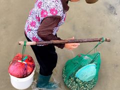 -北海金海湾红树林生态旅游区