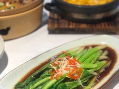-鑫悦诚府·新鲁菜·餐厅(趵突泉店)