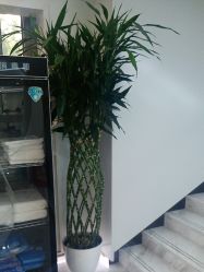 -悟空祛痘·诺奖技术专业店