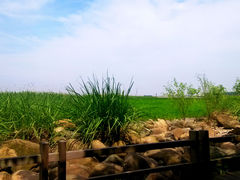 -上海长江河口科技馆