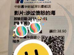 -中影嘉华国际影城(大芬星都里店)