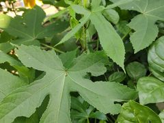 -上楼私房菜(院士路店)