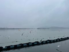 -蠡湖大桥公园