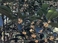 -南京金牛湖风景区