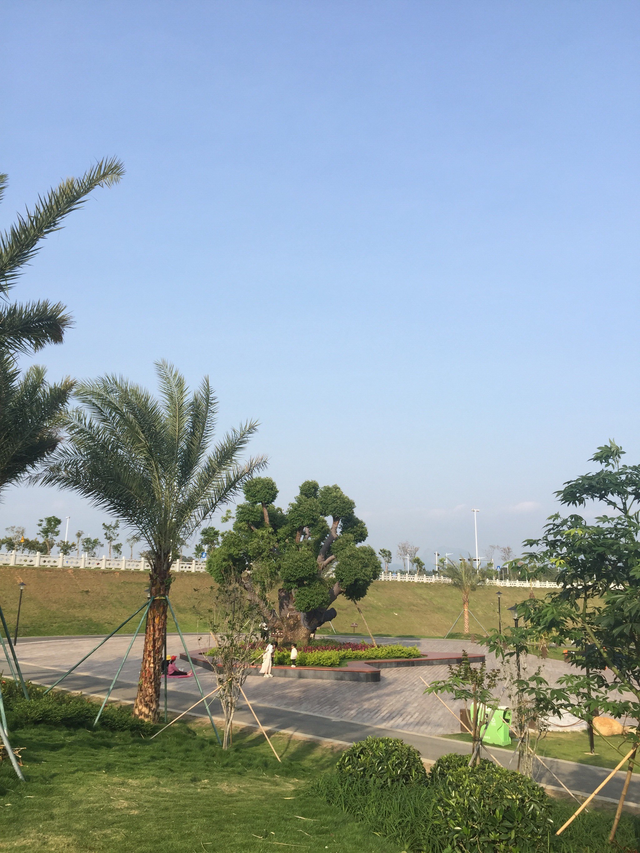 金星湖湿地公园,台山去年下半年开放的公园