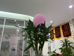 点击看大图 -纵享怡月月子中心(西稍门店)