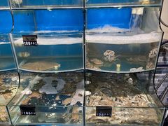 -丰收渔港饭店(嵊泗店)