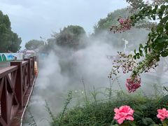 -荷塘月色湿地公园·向阳花洲