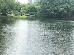 -晓港公园